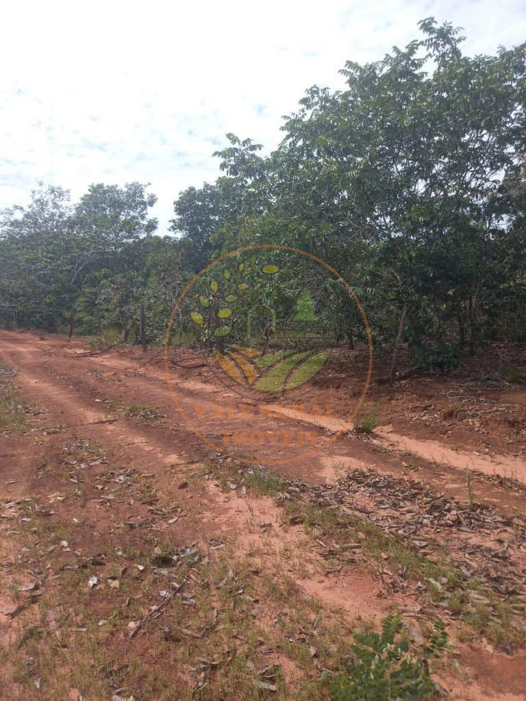 Fazenda à venda - Foto 8