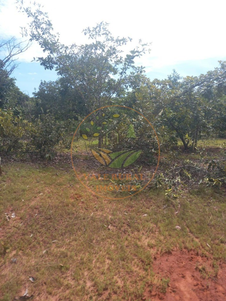 Fazenda à venda - Foto 24