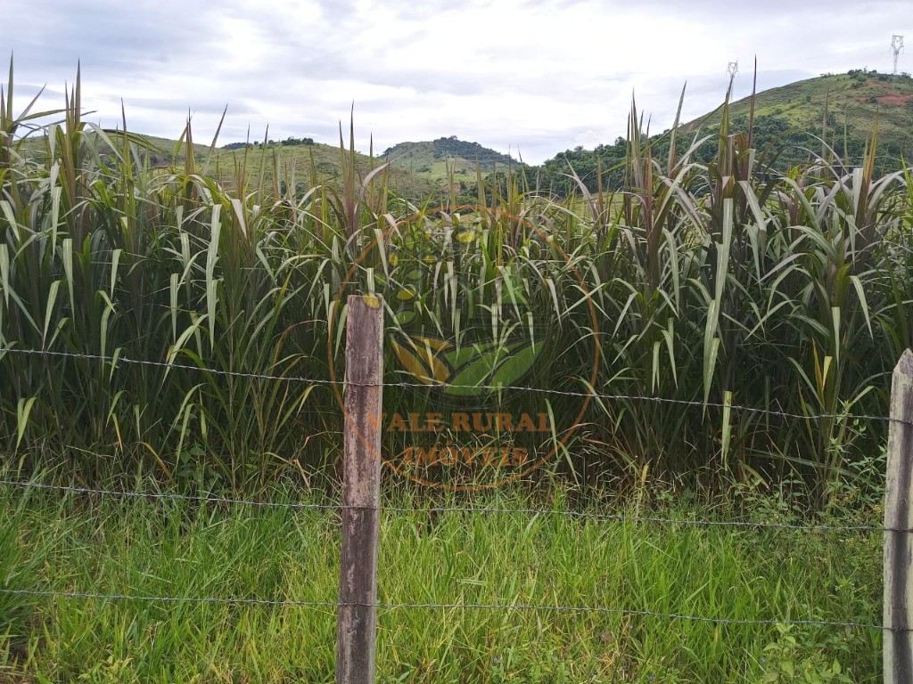 Fazenda à venda com 3 quartos - Foto 5