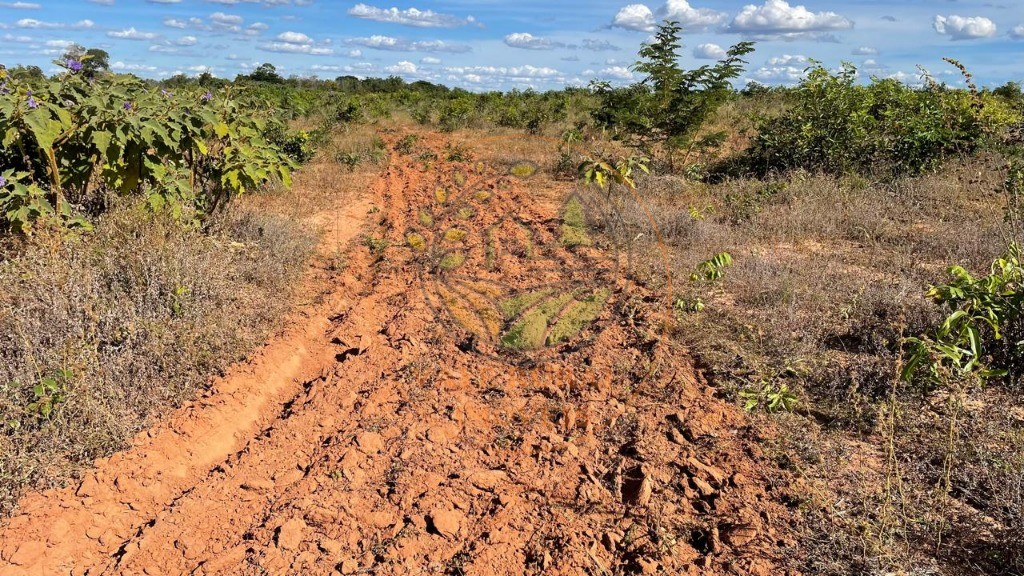 Fazenda à venda - Foto 1