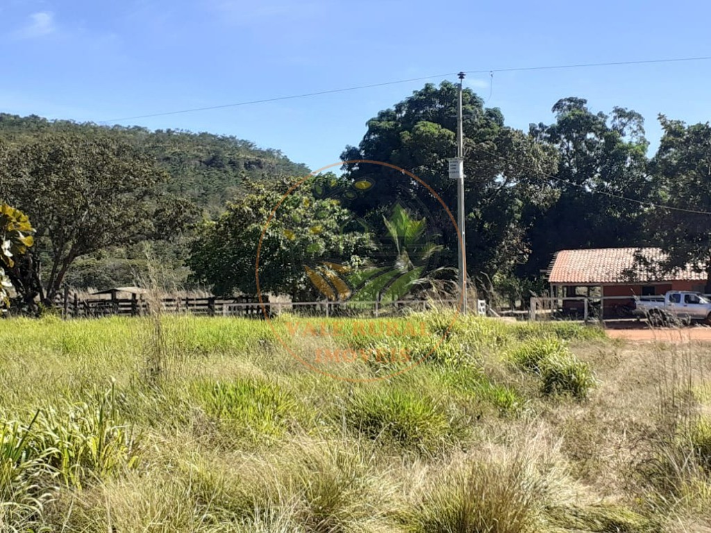 Fazenda à venda - Foto 6