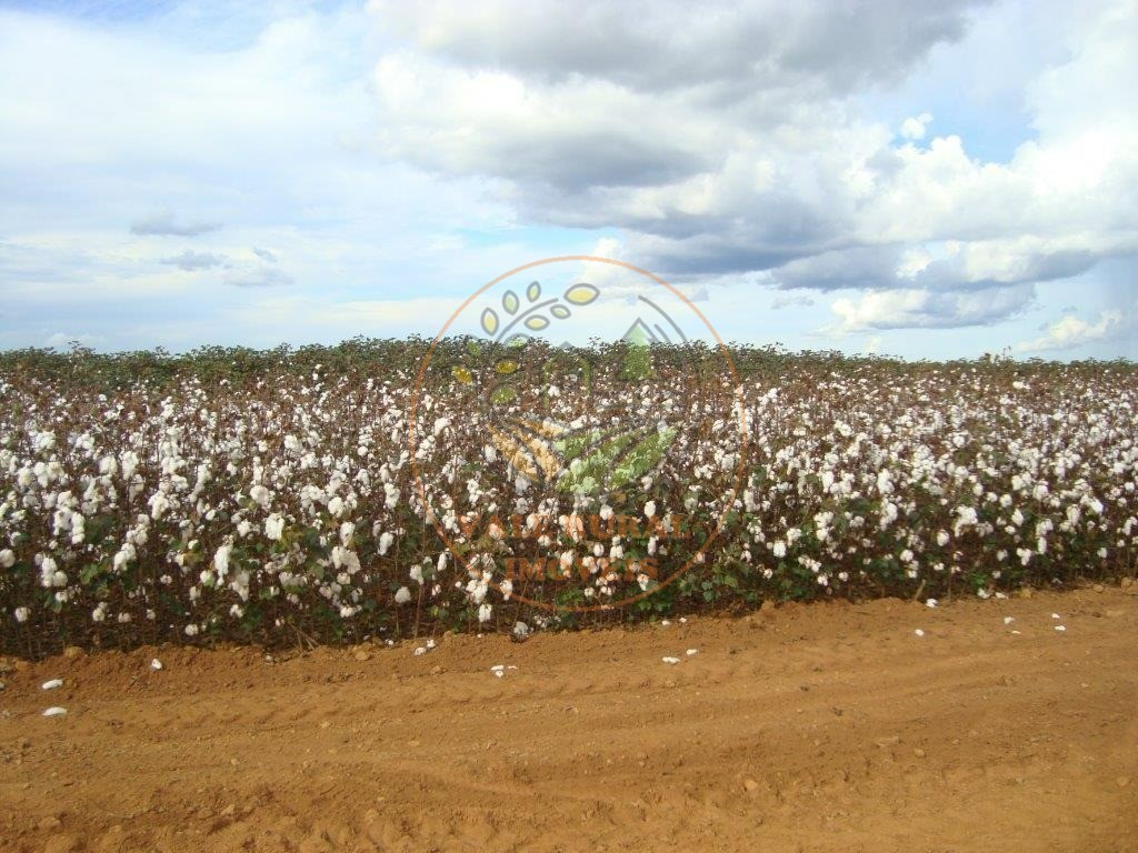 Fazenda à venda - Foto 1