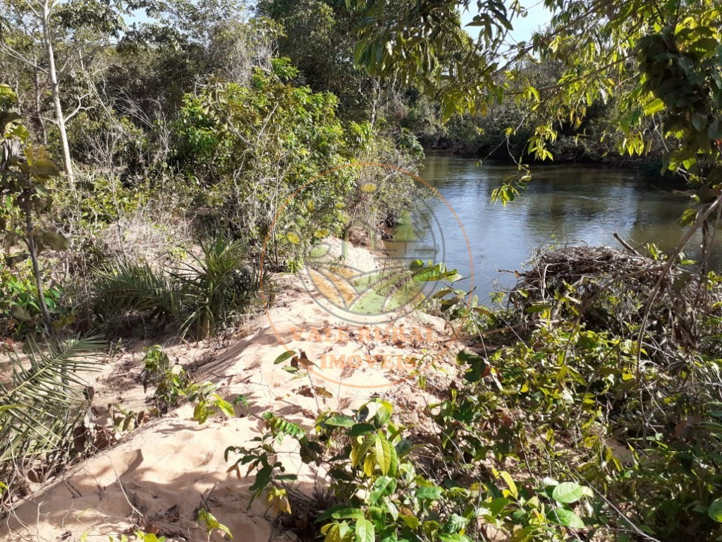 Fazenda à venda - Foto 5