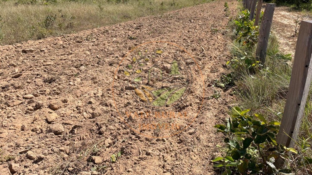 Fazenda à venda - Foto 6