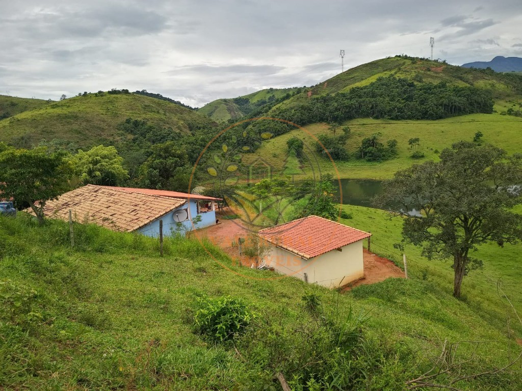 Fazenda à venda com 3 quartos - Foto 11