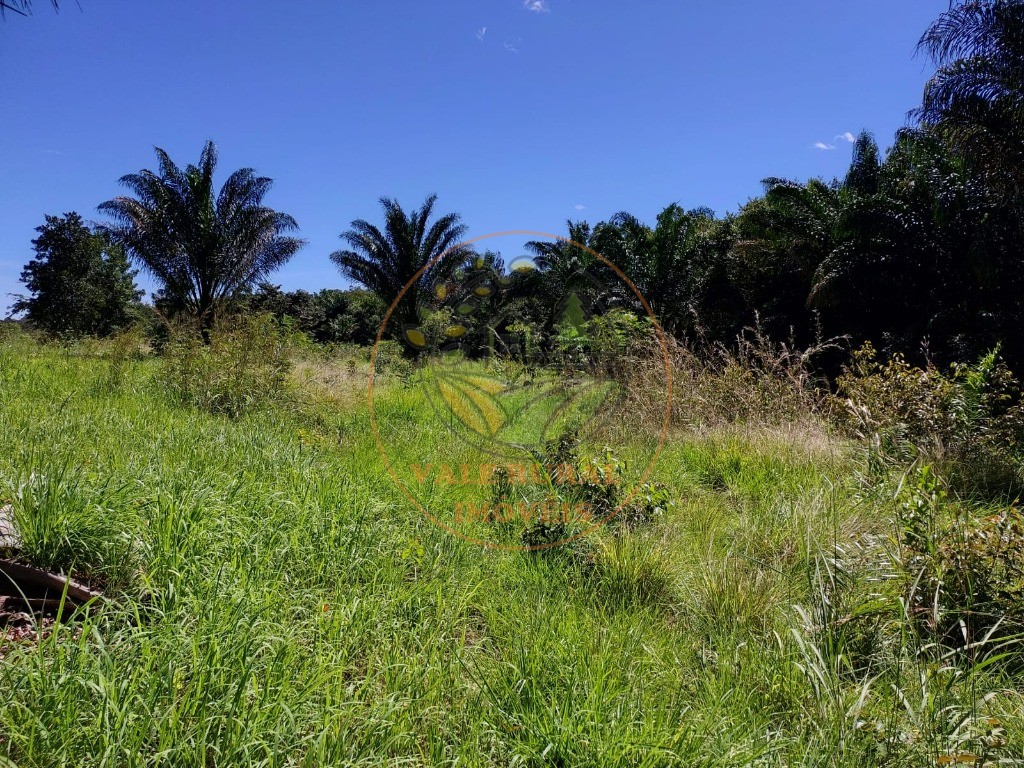 Fazenda à venda - Foto 7