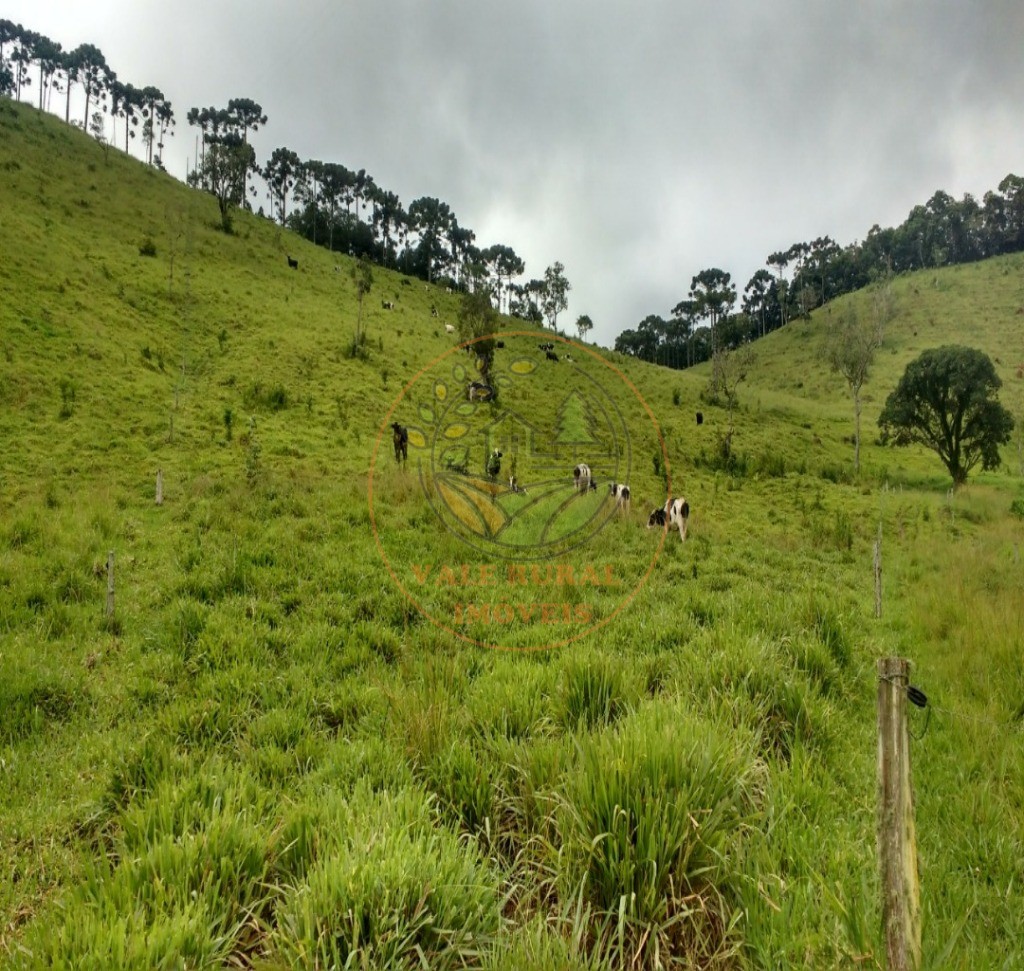 Fazenda à venda com 5 quartos, 253m² - Foto 12