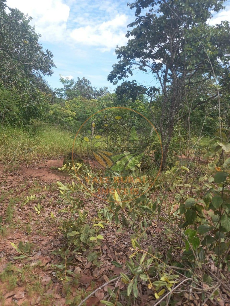 Fazenda à venda - Foto 5