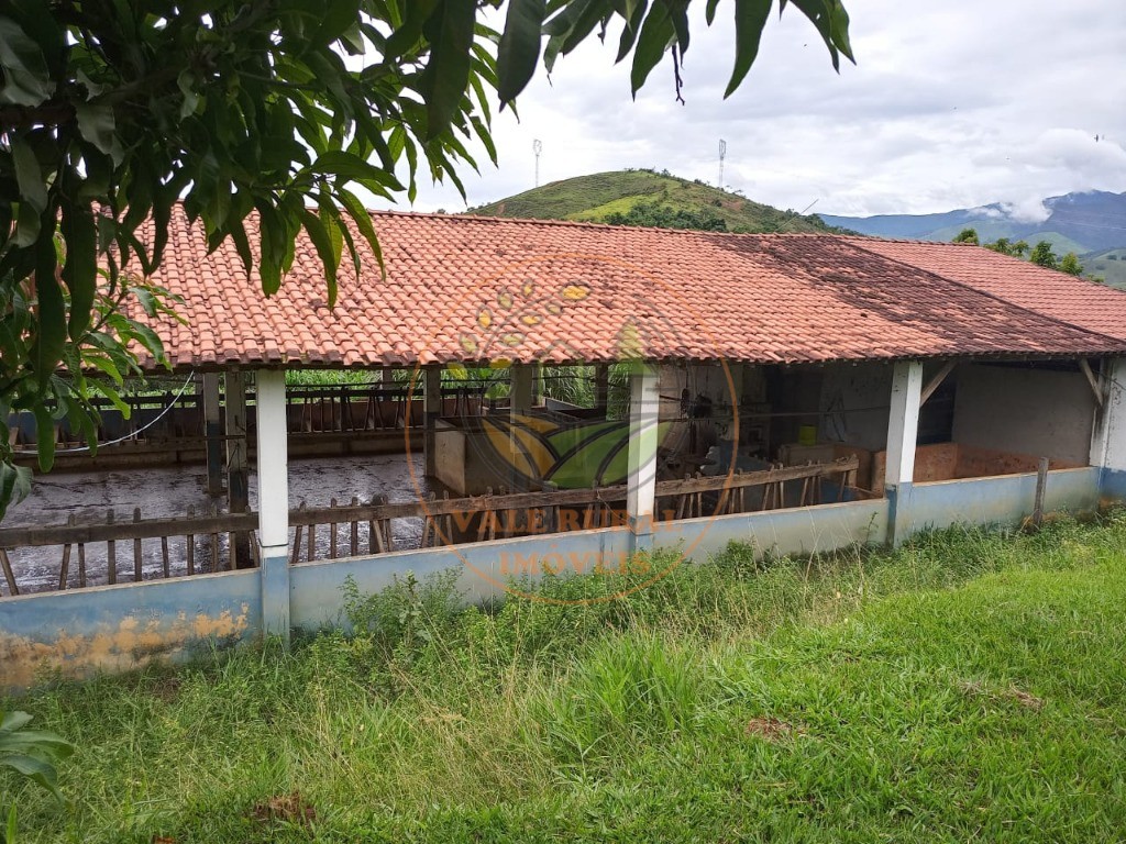 Fazenda à venda com 3 quartos - Foto 9