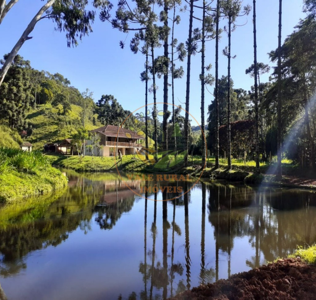 Fazenda à venda com 5 quartos, 253m² - Foto 2