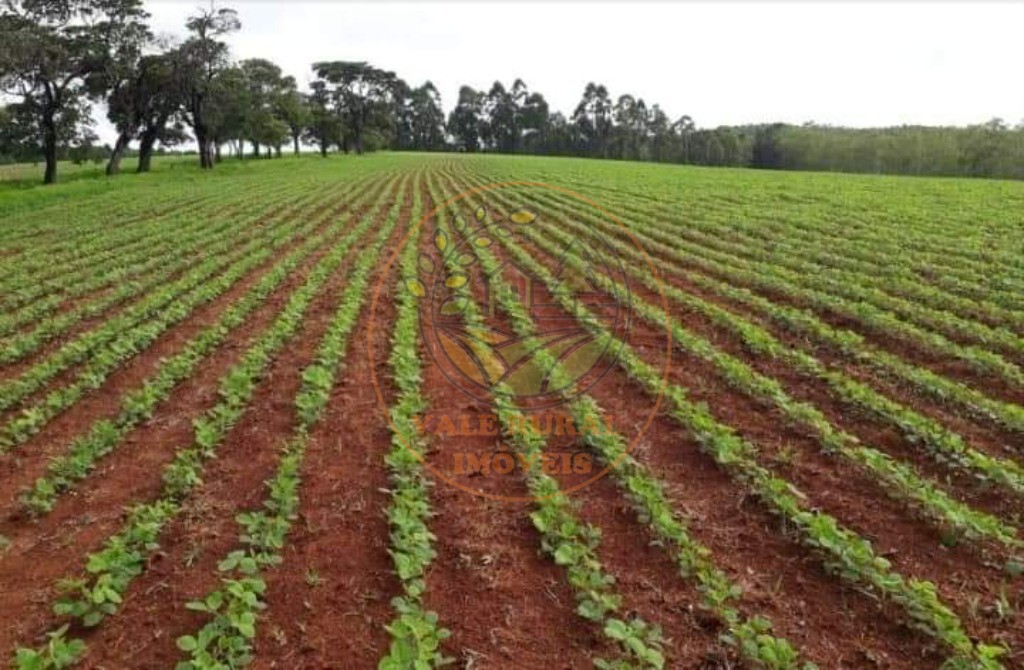 Fazenda à venda - Foto 6