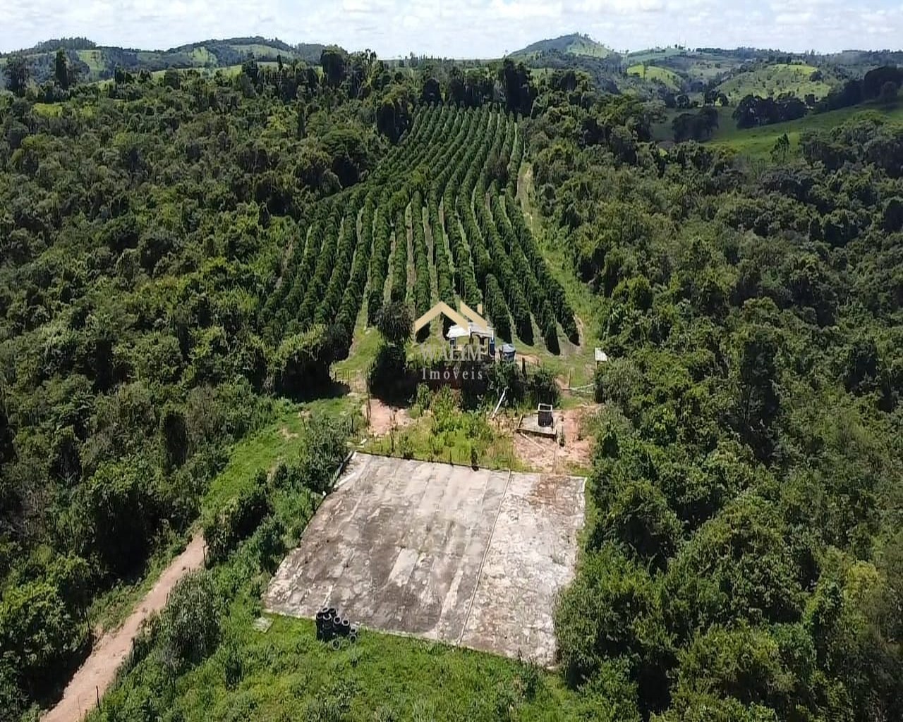 Fazenda para venda, Carmópolis de Minas, Km-602, BR-381, entrada trevo Brasilândia, 55 hectares mui