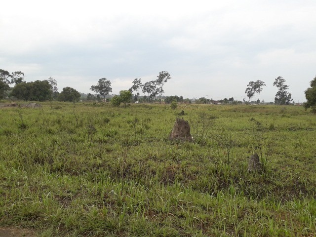 Terreno à venda, 1000m² - Foto 1