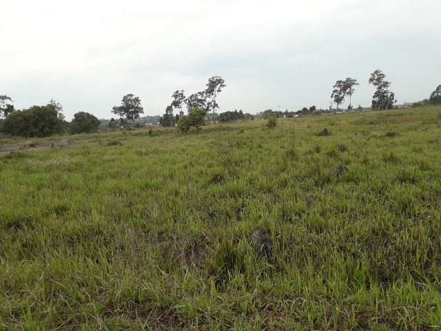 Terreno à venda, 1000m² - Foto 3