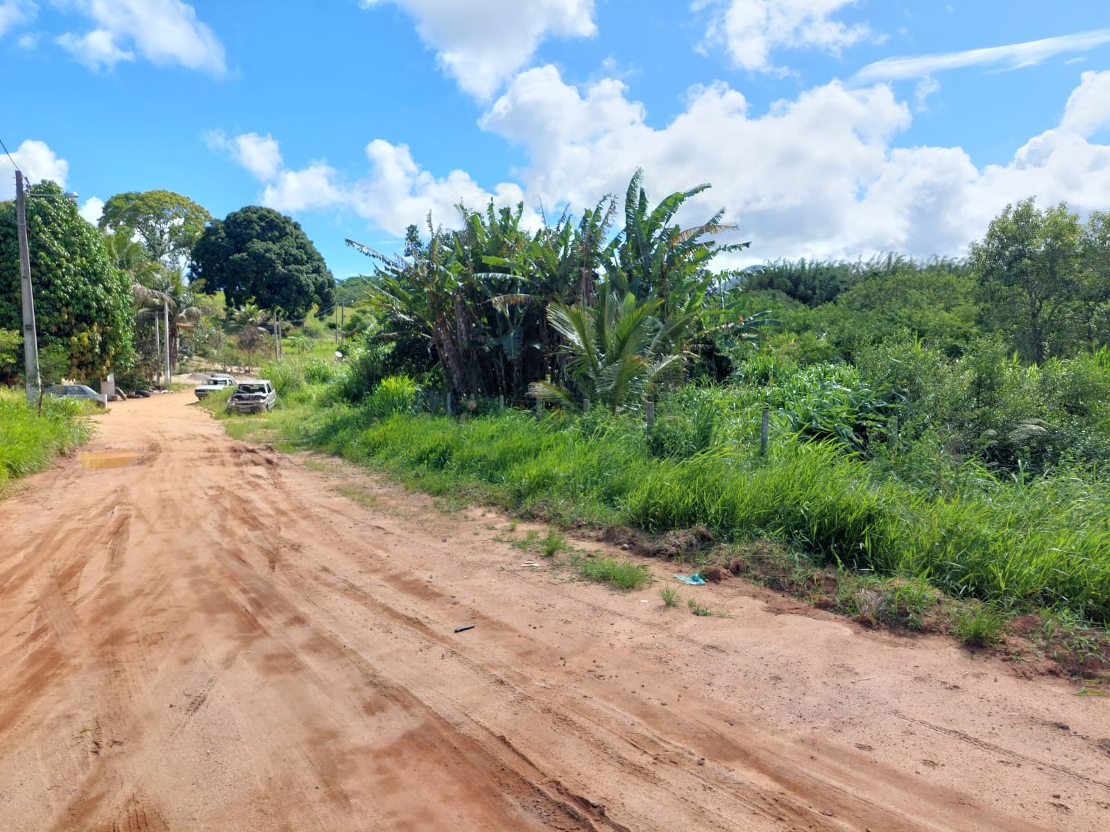 Haras e Área Rural Padrão à venda, 3092m² - Foto 4