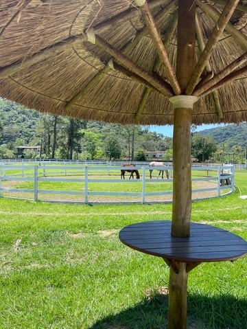 Fazenda à venda com 8 quartos - Foto 11