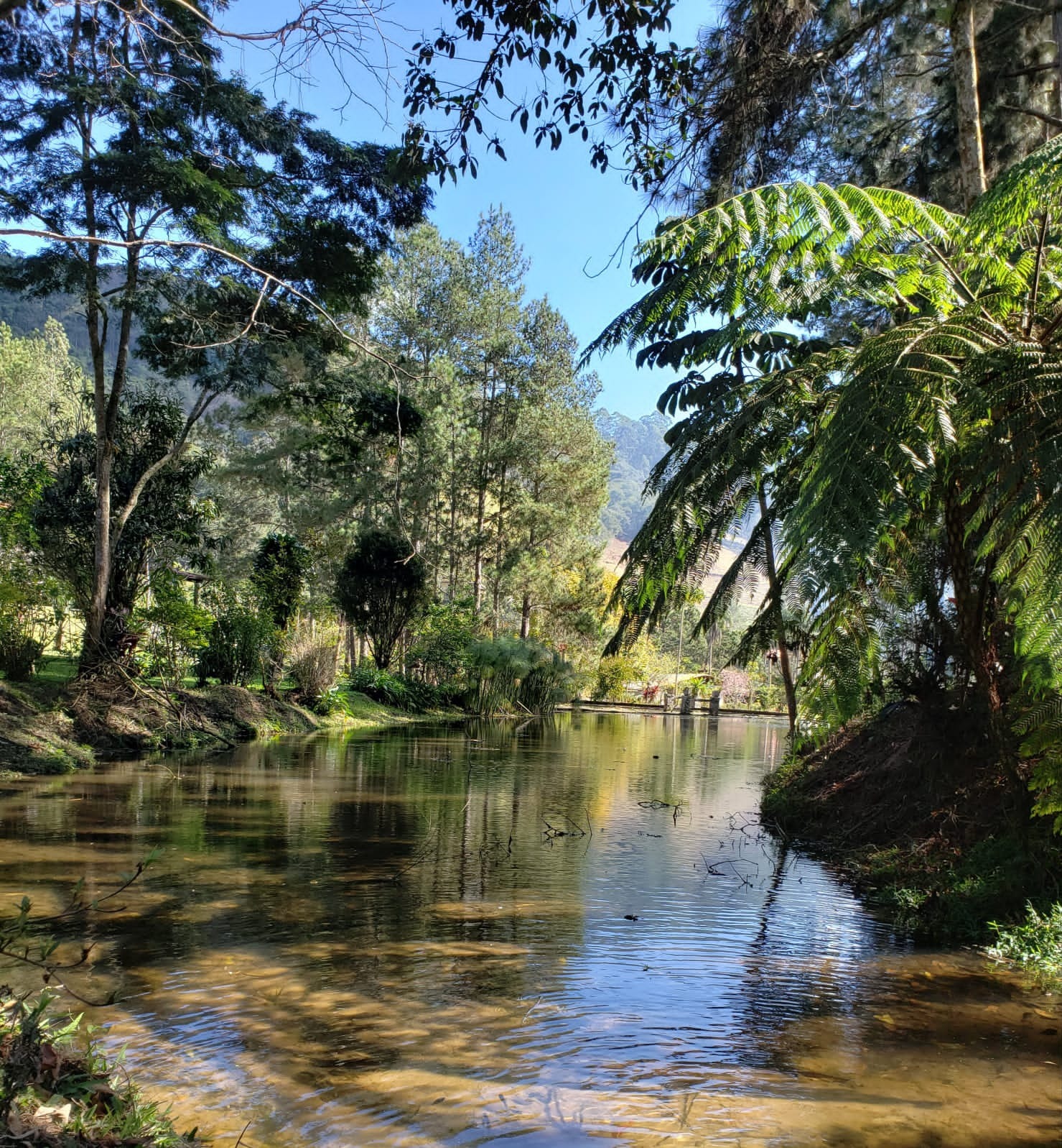 Sítio à venda com 8 quartos - Foto 4