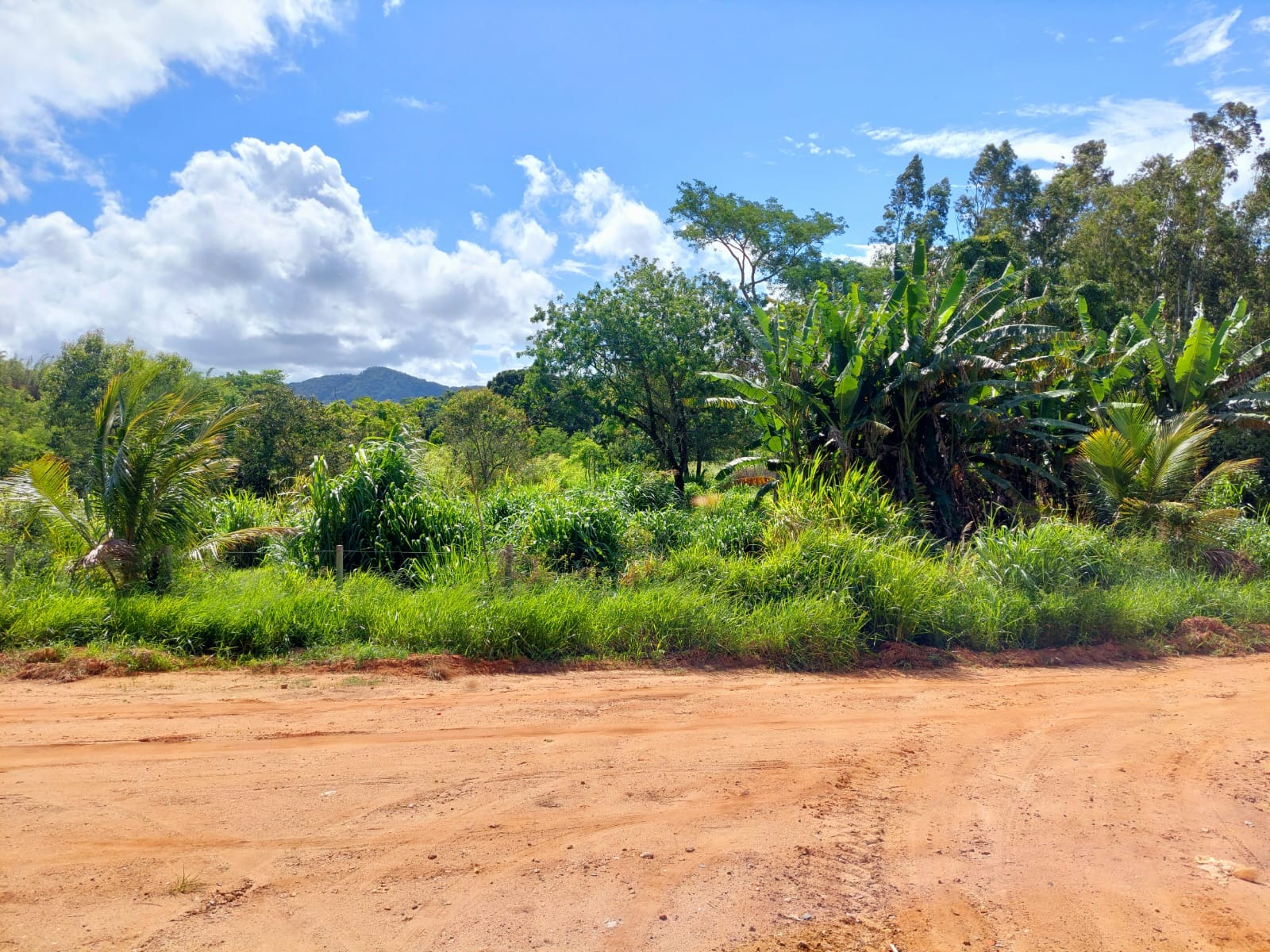 Haras e Área Rural Padrão à venda, 3092m² - Foto 2