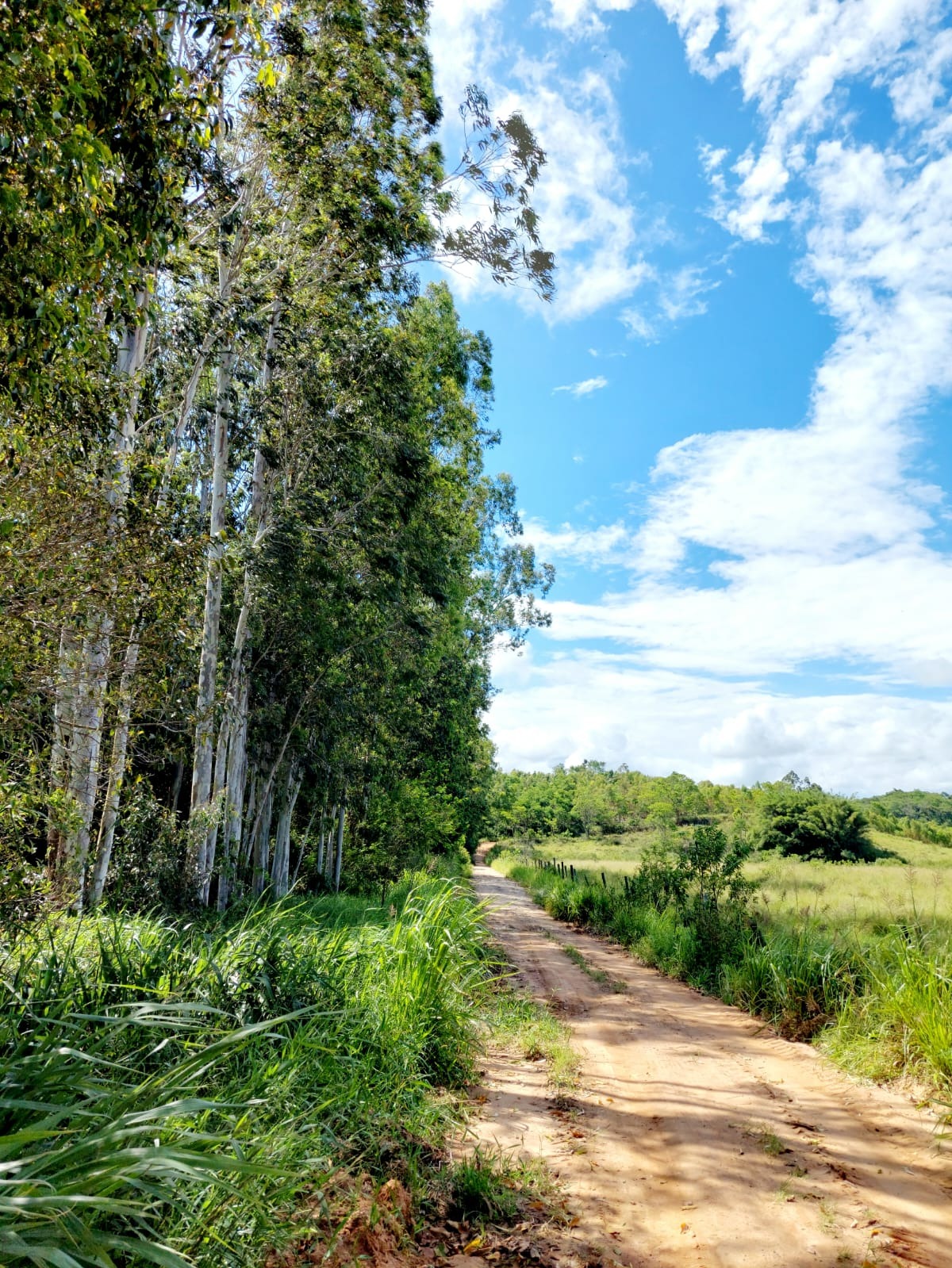 Haras e Área Rural Padrão à venda, 3092m² - Foto 1