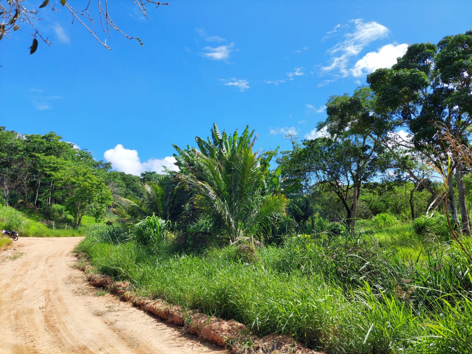 Haras e Área Rural Padrão à venda, 3092m² - Foto 7