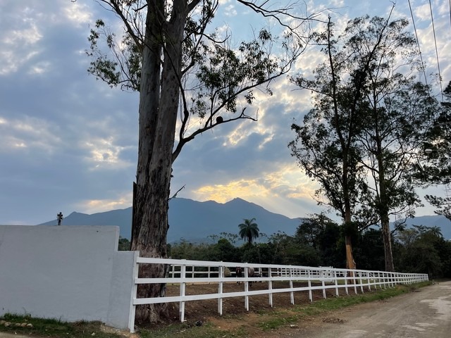 Fazenda à venda com 8 quartos - Foto 12