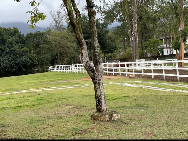 Fazenda à venda com 8 quartos - Foto 9