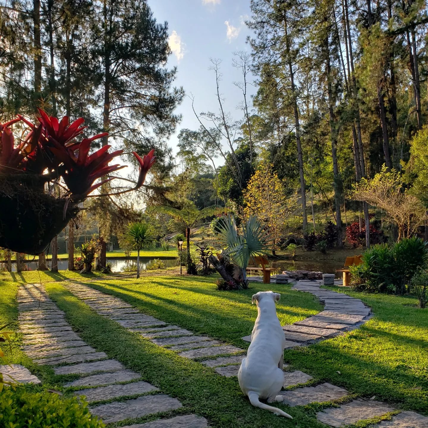 Sítio à venda com 8 quartos - Foto 24