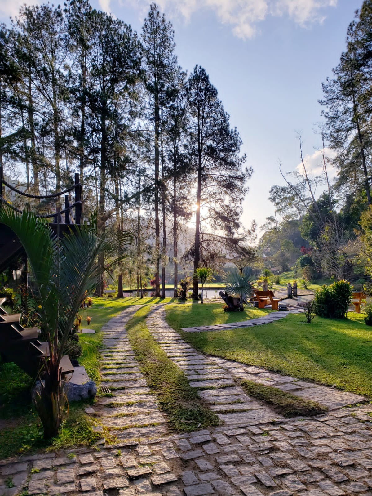 Sítio à venda com 8 quartos - Foto 6