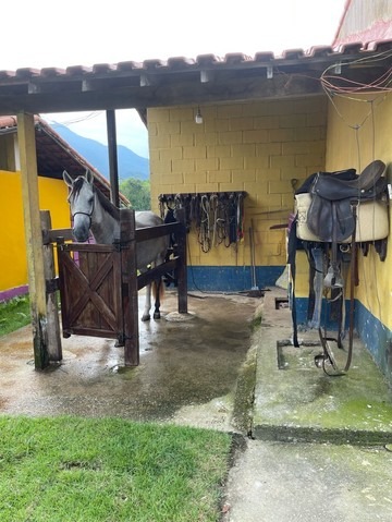 Fazenda à venda com 8 quartos - Foto 18