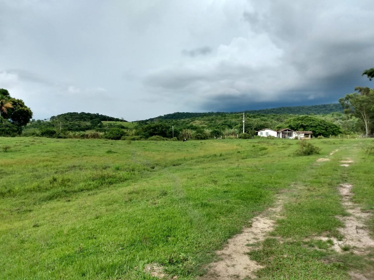 Fazenda à venda - Foto 10