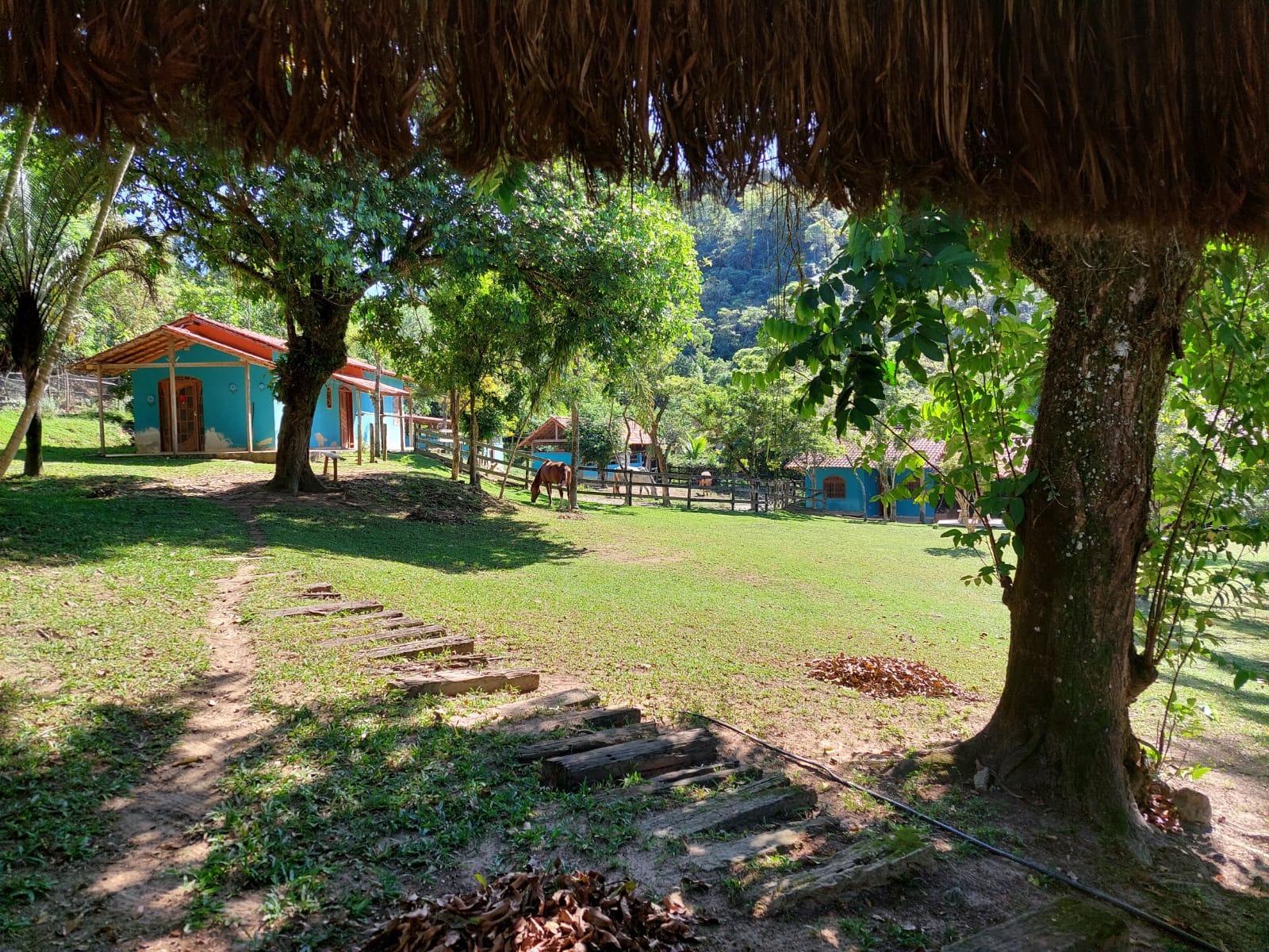 Fazenda, 10 quartos - Foto 20