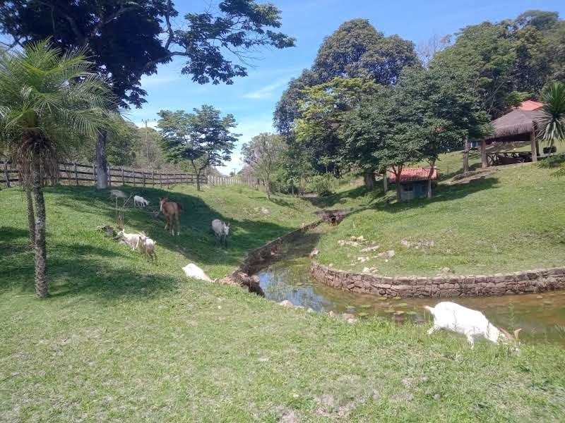 Fazenda, 10 quartos - Foto 2