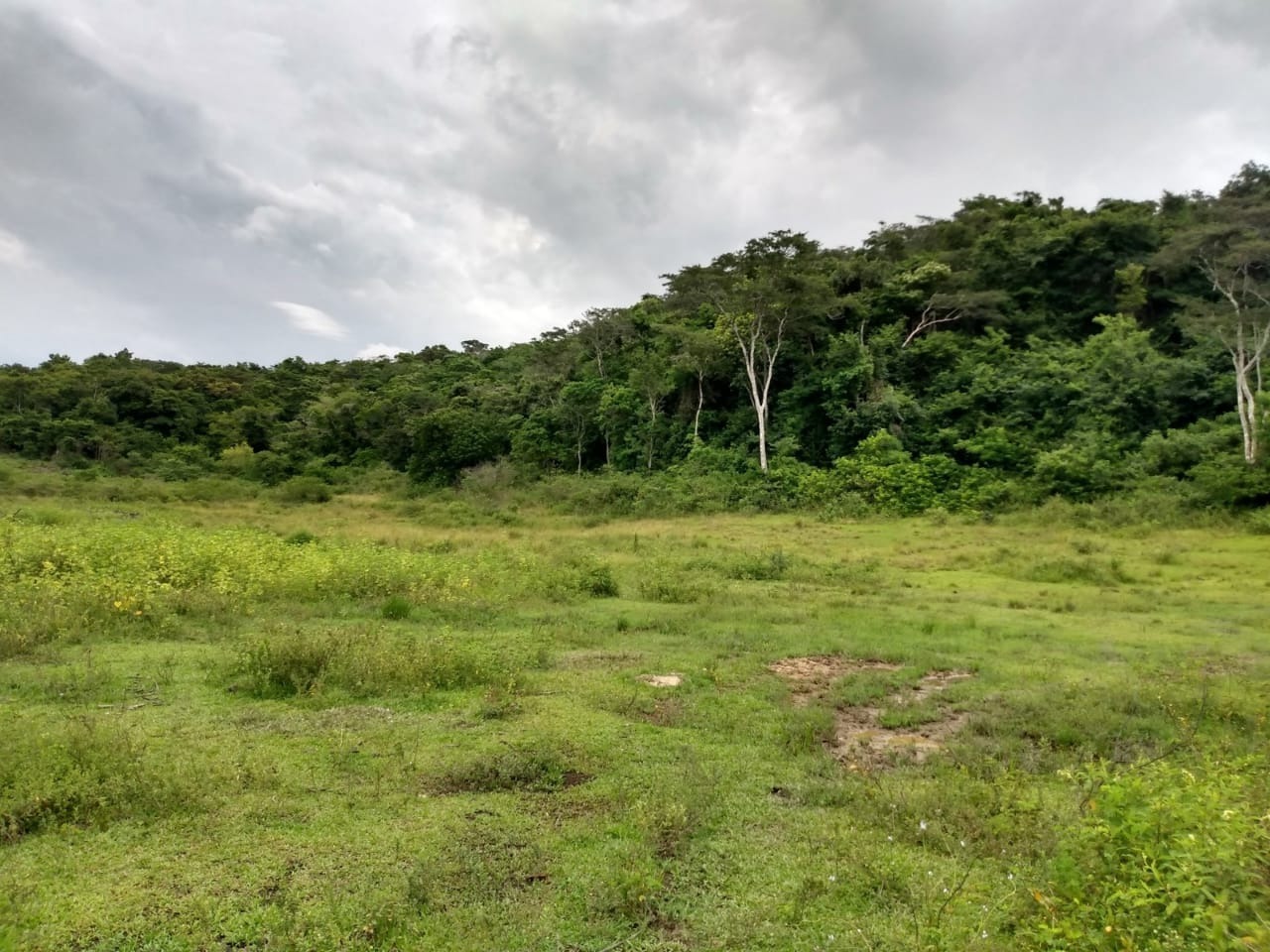 Fazenda à venda - Foto 8