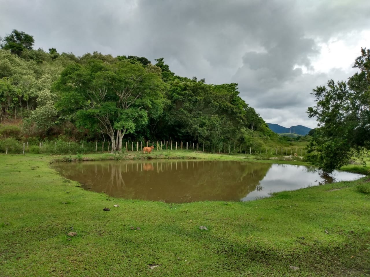 Fazenda à venda - Foto 1