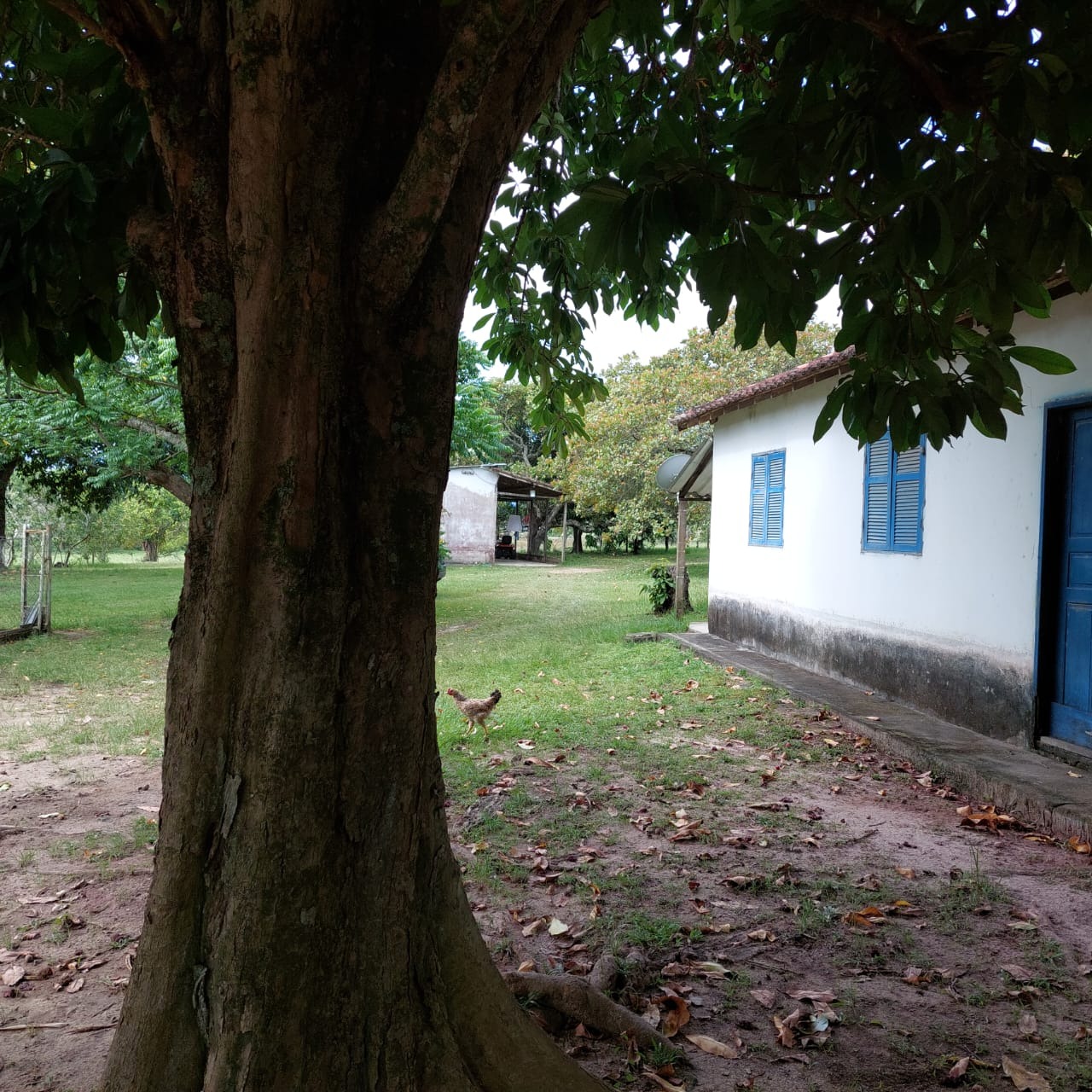 Fazenda à venda com 10 quartos - Foto 69