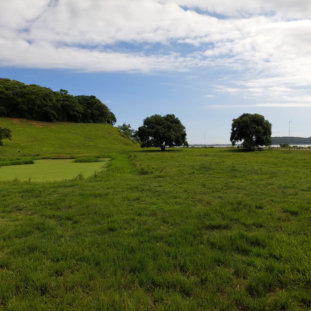 Fazenda à venda com 10 quartos - Foto 83