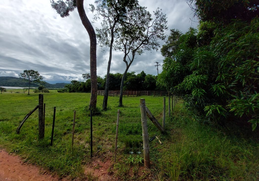 Fazenda à venda com 10 quartos - Foto 38