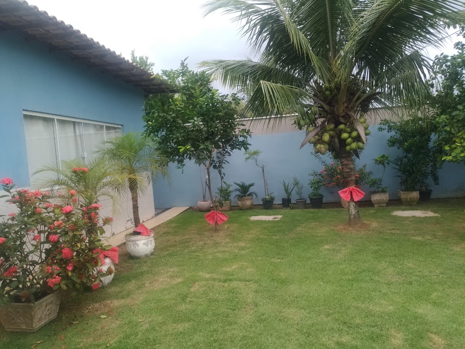 Casa à venda com 2 quartos - Foto 3