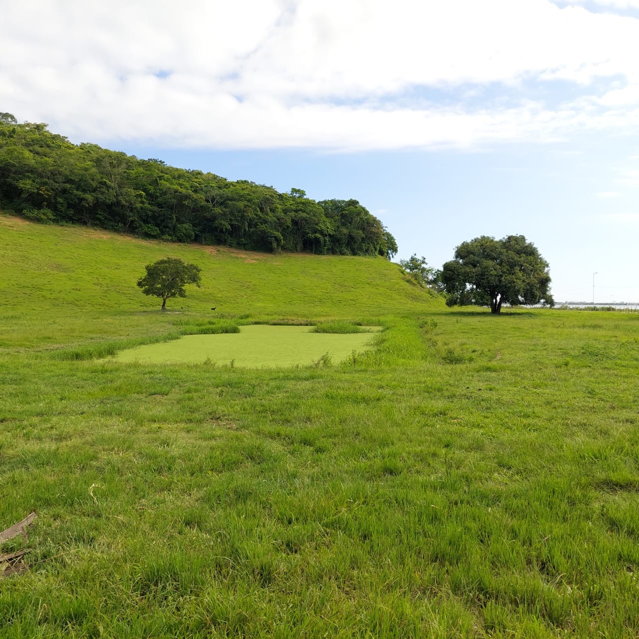 Fazenda à venda com 10 quartos - Foto 82