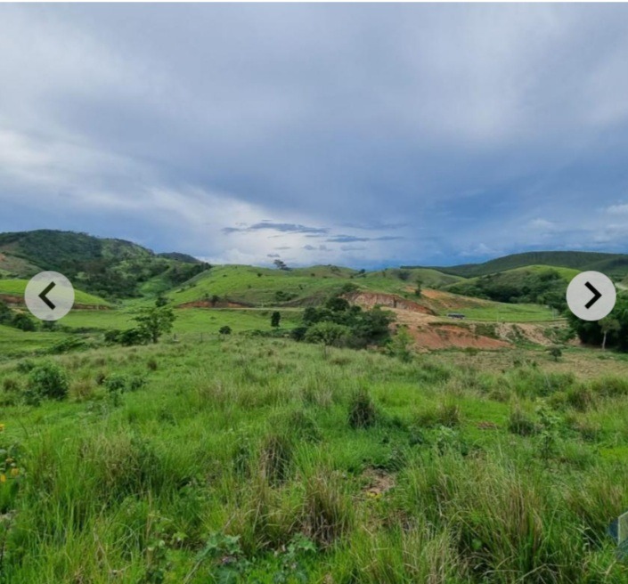 Fazenda à venda com 6 quartos - Foto 32