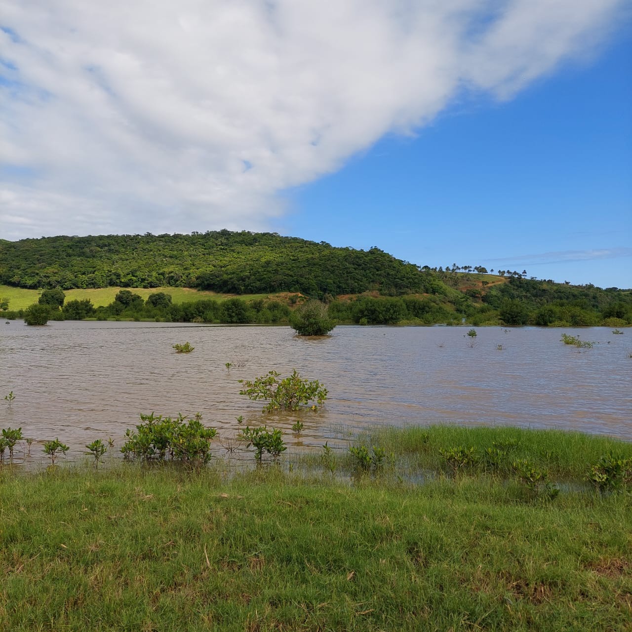 Fazenda à venda com 10 quartos - Foto 48