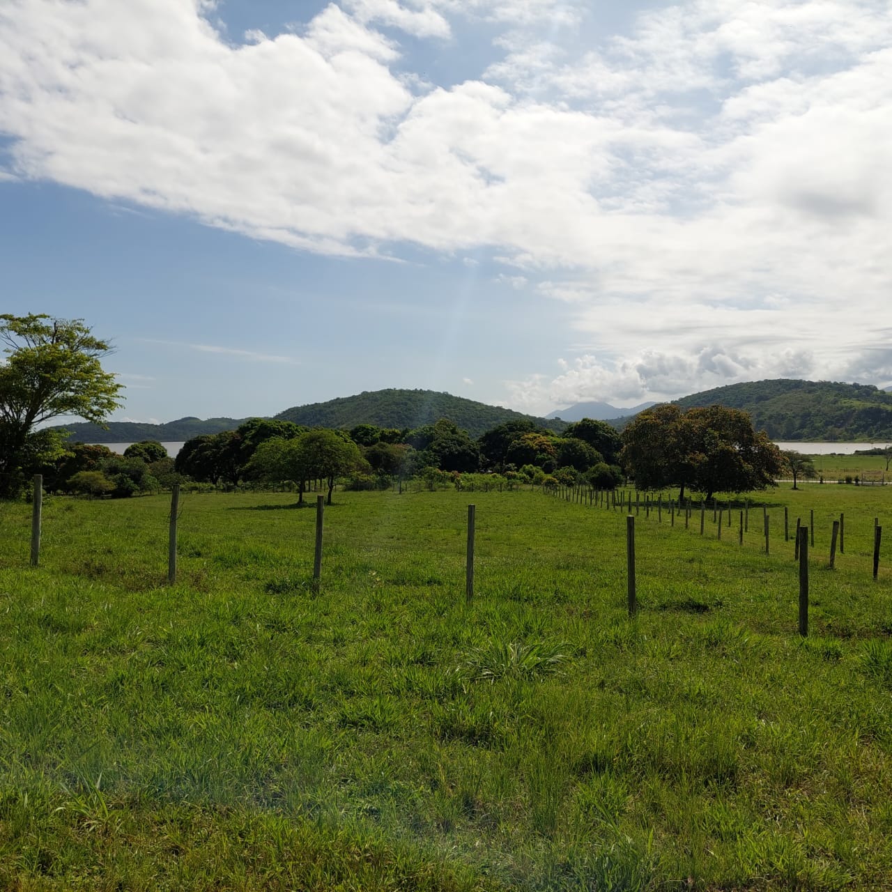 Fazenda à venda com 10 quartos - Foto 3