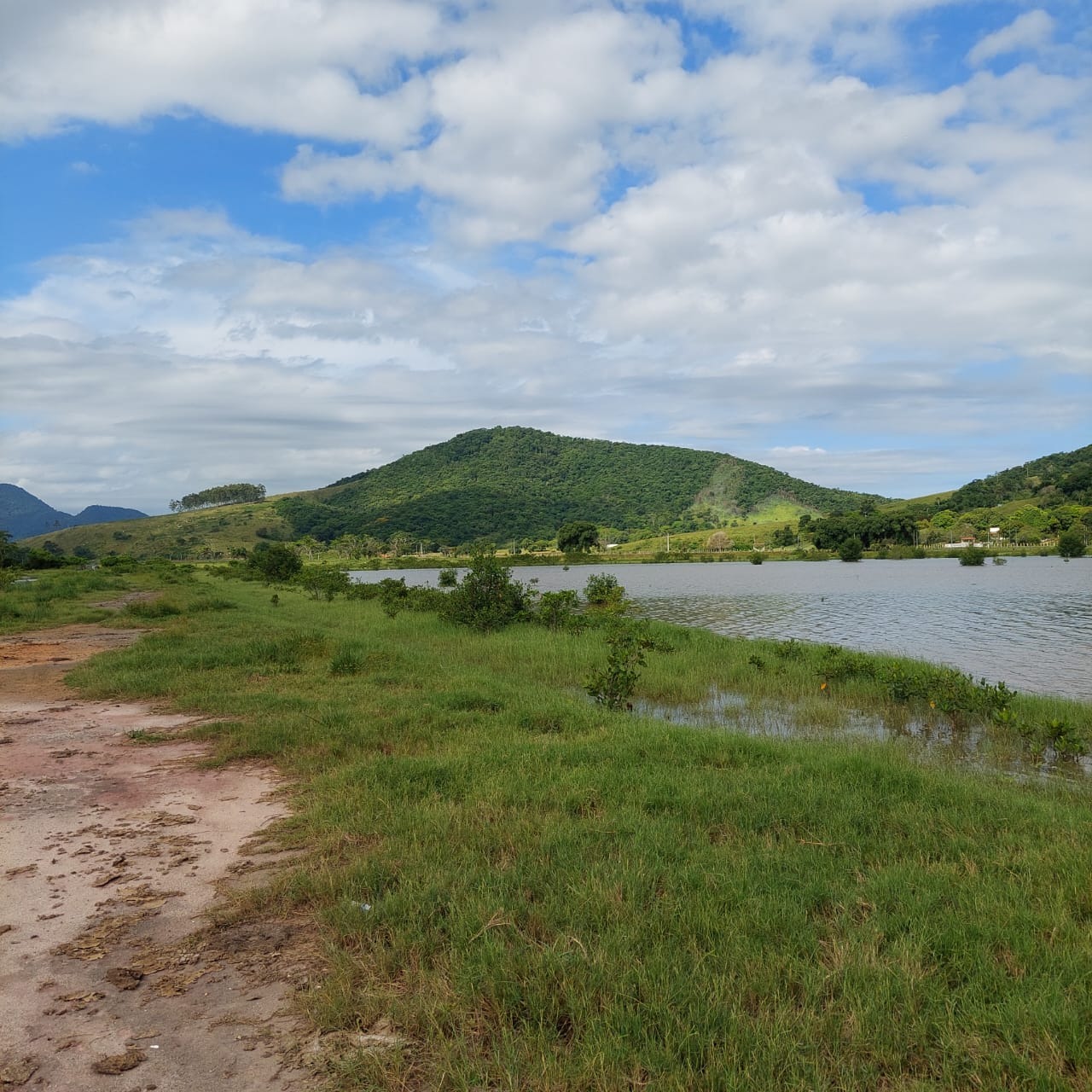 Fazenda à venda com 10 quartos - Foto 44