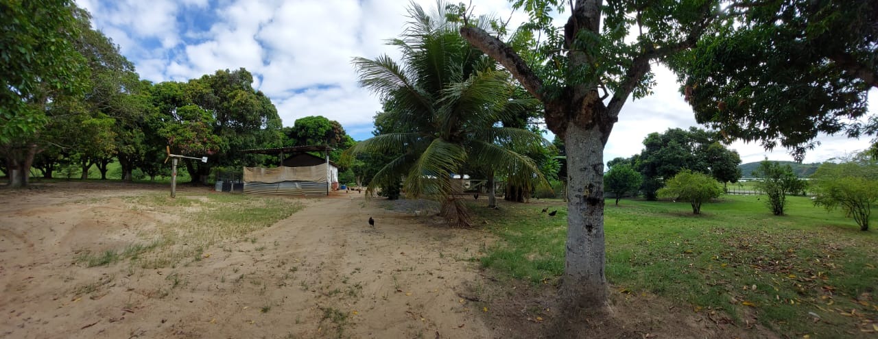 Fazenda à venda com 10 quartos - Foto 60