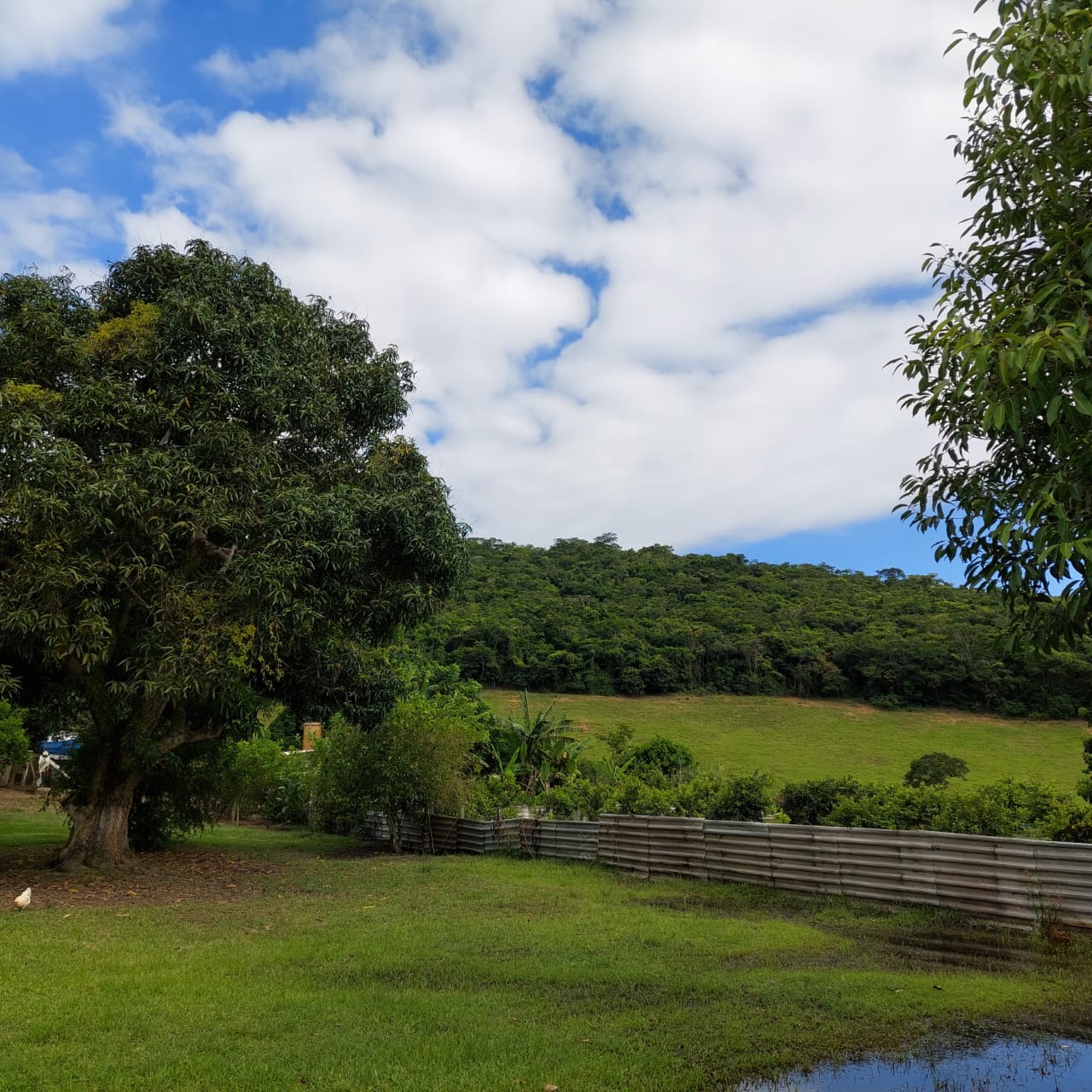 Fazenda à venda com 10 quartos - Foto 57