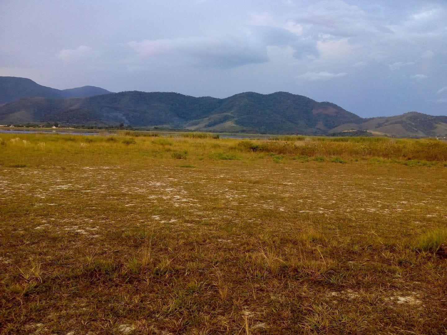 Terreno à venda - Foto 4