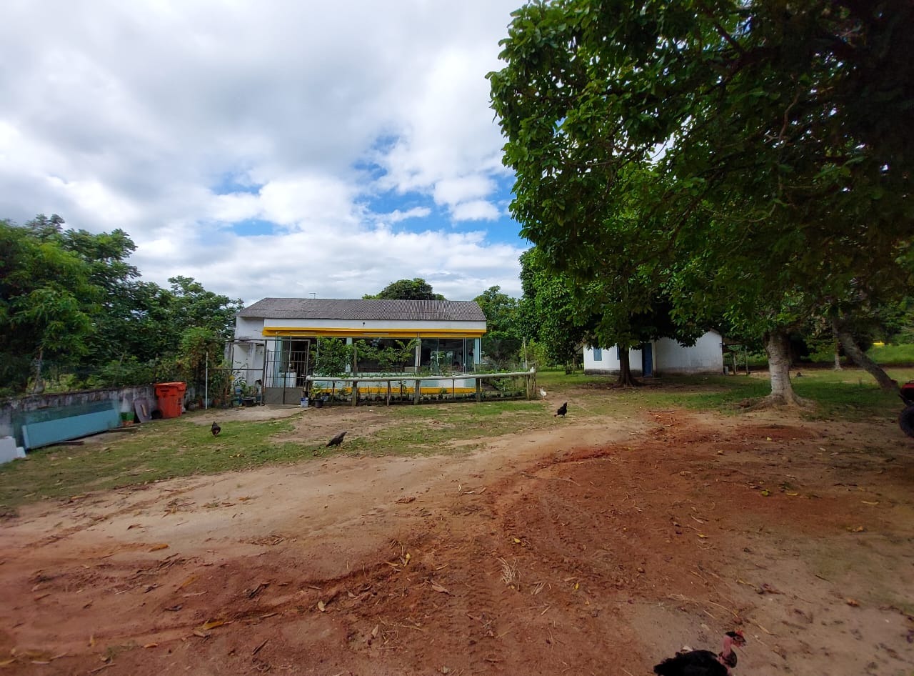 Fazenda à venda com 10 quartos - Foto 58