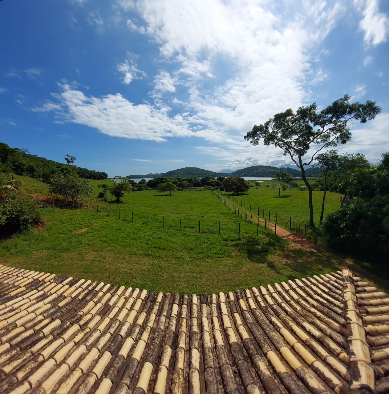 Fazenda à venda com 10 quartos - Foto 7