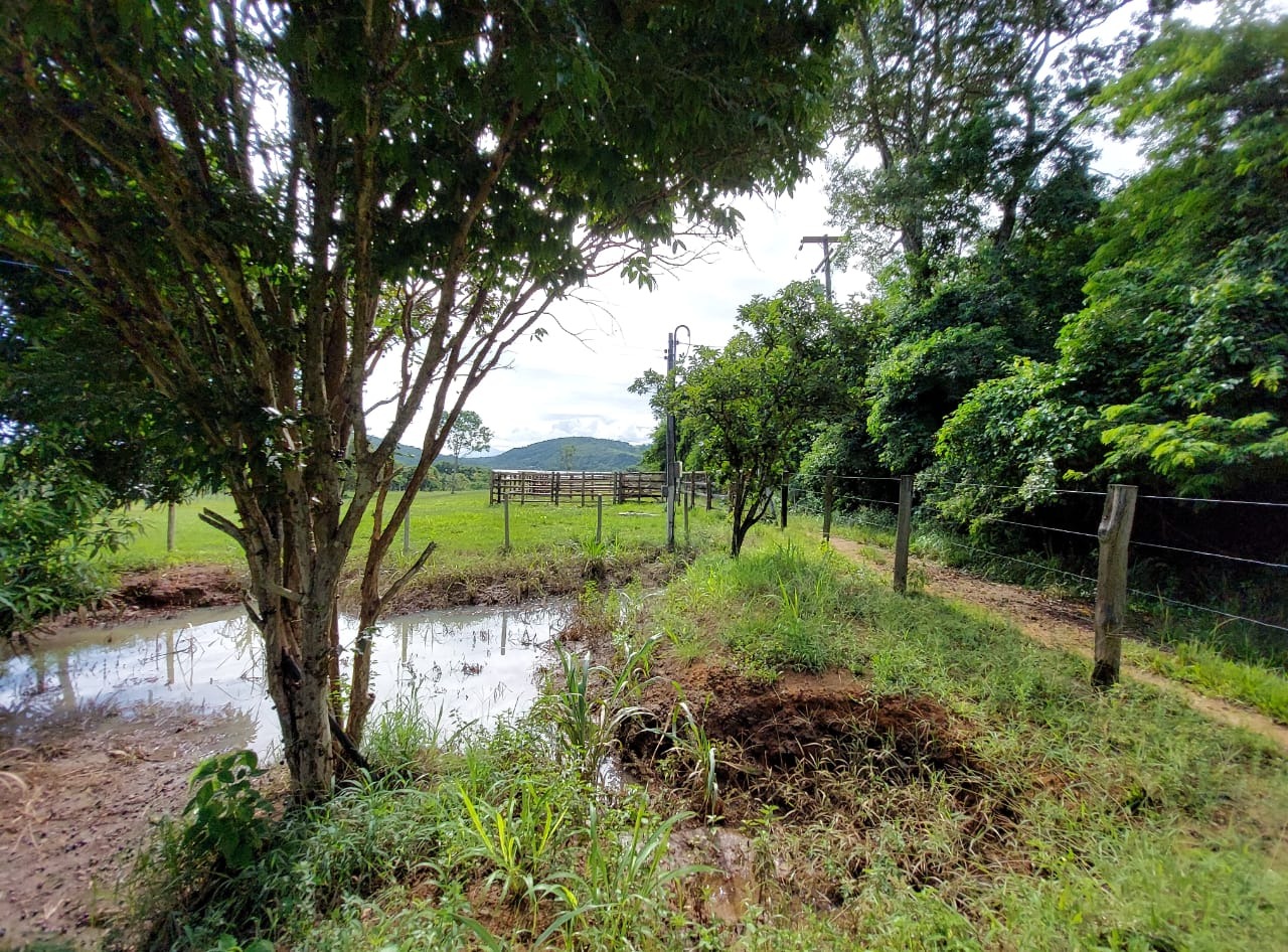 Fazenda à venda com 10 quartos - Foto 39