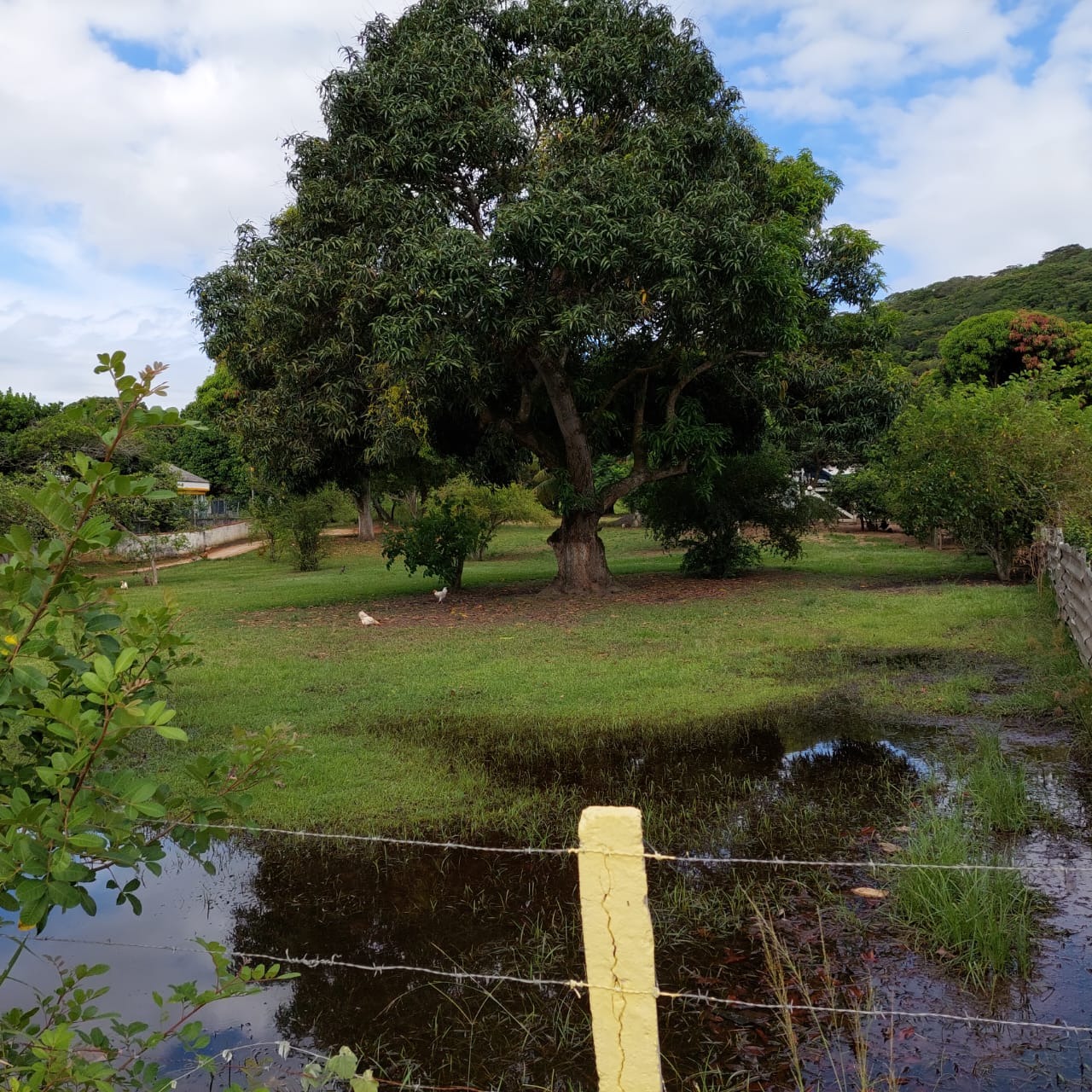 Fazenda à venda com 10 quartos - Foto 56